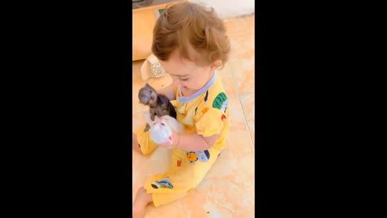 Adorable toddler Jane bonds lovingly with two kittens in heartwarming video