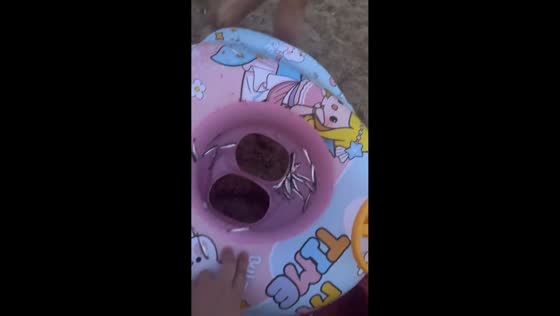 Girl’s swimming float collects small fish during playful moment in Fujian, China