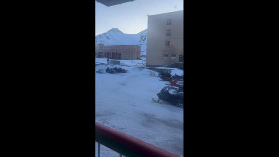 Man flees after polar bear encounter near sled parking in Svalbard, Norway