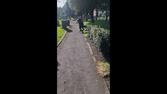Jogger trips over playful dogs in Bogotá, Colombia