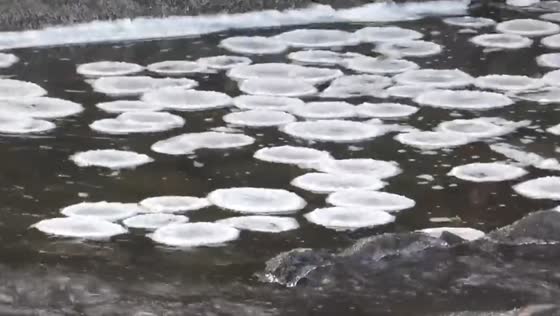 Pancake ice on the River Exe, Tiverton!