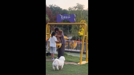 Dog calmly sits on “paw swing” while another dog is placed beside it in Jiangsu, China