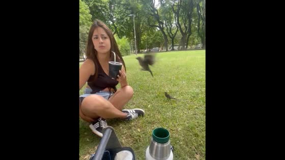 Naughty birds in Puerto Madero, Buenos Aires