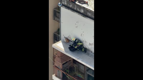Cat rescued from building edge in Buenos Aires, Argentina