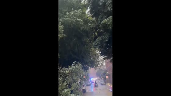 Severe storms topple trees and flood streets in New York, USA