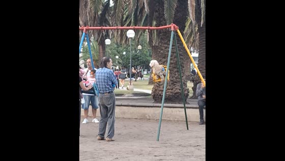 Dog swings on playground among children in Mar del Plata