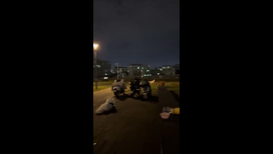 Dog tumbles after failed jump while running in Guangdong, China