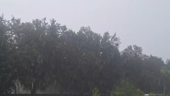 Heavy afternoon thunderstorm drenches in North Fort Myers, USA