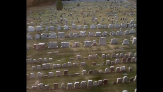 Airbnb guest reveals unexpected graveyard view in New Jersey