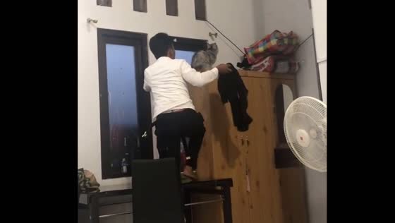 Man helps cat catch lizard in Batam, Indonesia