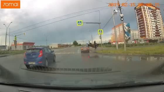 Horse struck by car while crossing road in Magnitogorsk, Russia
