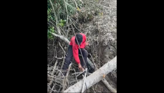 Man falls while crossing tree trunk in Langadai, Indonesia
