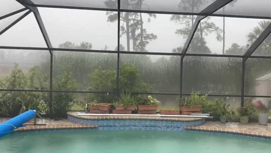 Morning downpour in Port Charlotte, Florida, USA