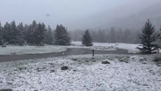 Spring snow at Woodbine Campground, Nye, Montana