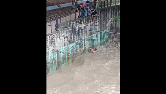 Dog rescued from water in Neiva, Colombia