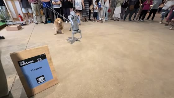 Dog reacts to robot dog at exhibition in Zhejiang, China