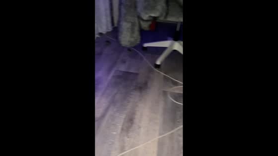 Two mice run around bedroom in Karasuk, Russia
