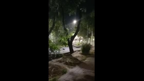 Destructive Zonda winds strike Mendoza, Argentina: captured on video