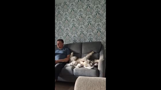 Playful dog startles man with toy on the couch in Lieto, Finland