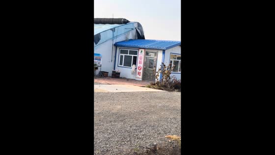 Dog repeatedly enters window and exits door, Heilongjiang, China