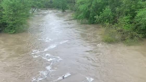 Creek swollen in Macon County, Alabama