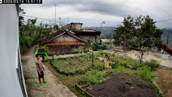 Cow falls into 7-meter pit after sudden panic in Wonosobo, Indonesia