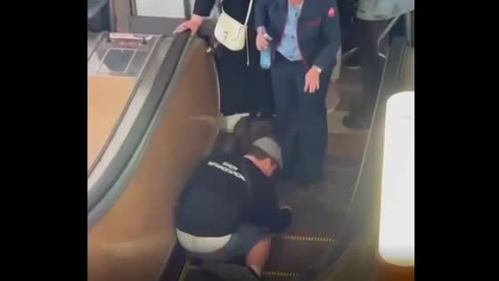 Prompt metro staff rescue: dog's paw freed from escalator in Moscow metro