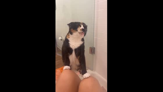 Mars: the shower-loving cat