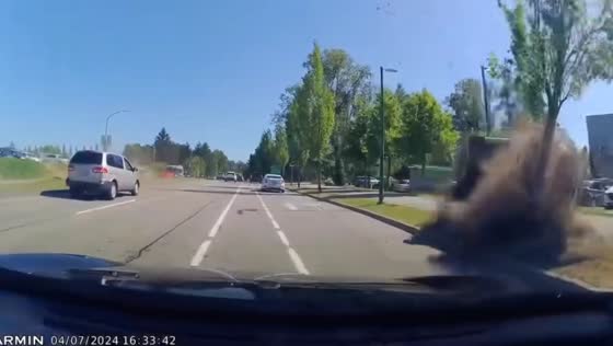 Driver loses control, hits tree in Burnaby