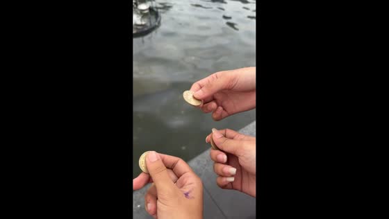 Children dive into mall fountain to grab coins in Pasay, Philippines