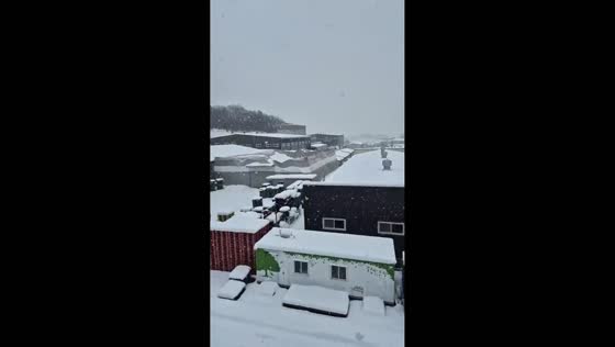 Heavy snowfall covers Hwaseong, South Korea