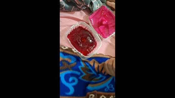 Siblings surprised by unusual jelly dessert in Pereira, Colombia