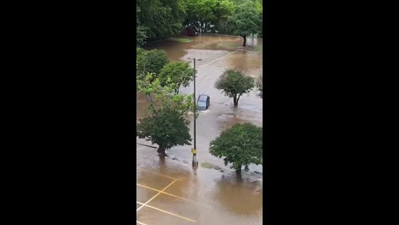 Driver ignores flood warnings, plunges car into creek