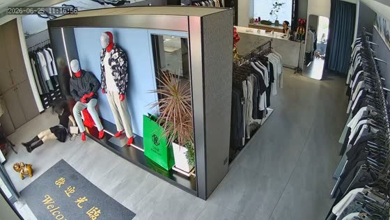 Woman accidentally walks into glass storefront at clothing shop in Jilin, China