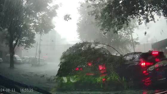 Tree falls on taxi and SUV during heavy rain in Fuxin, China