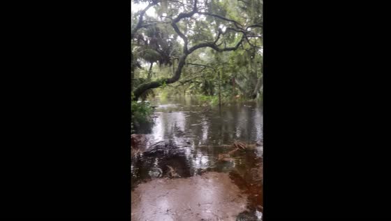 Flooding in Tampa, Florida, USA from hurricane Debby