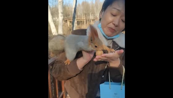 Squirrel jumps onto person in Xinjiang Province, China