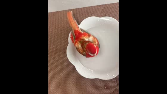 Bird splashes around during bath in Zhejiang, China