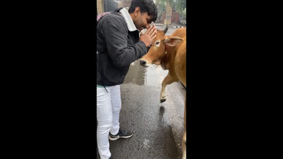 Man narrowly escapes cow attack in New Delhi, India