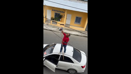 Person rescues bird stuck on overhead cable in Naranjal, Ecuador