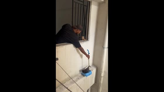 Man rescues kitten with dustpan from ledge in Johor, Malaysia