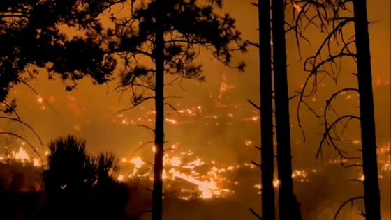 Lake Spokane wildfire glows at night in Lake Spokane, Washington, USA
