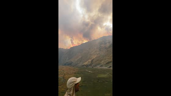 Massive wildfire engulfs rugged mountainside in Skikda, Algeria