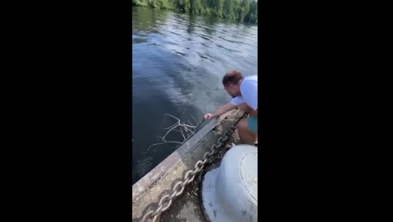 A man rescues squirrel from Khimki Reservoir