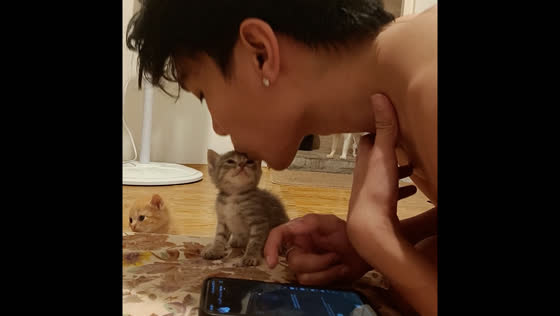 Kitten gazes adoringly at owner in Marikina City