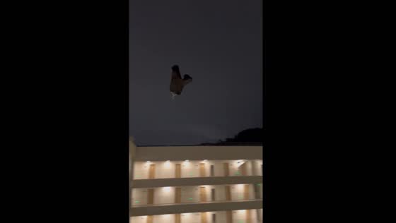 Pants on a hanger blown by wind hits person