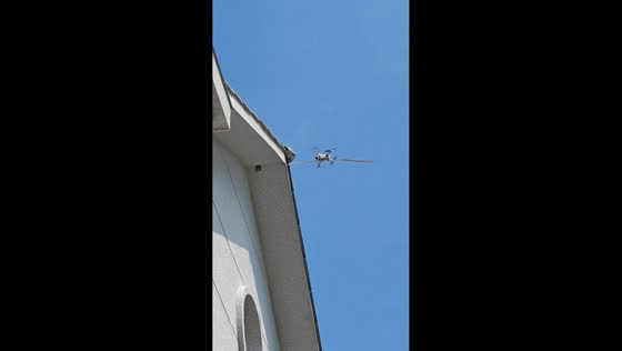 Drone crashes while attempting to knock down wasp nest in Jiangxi, China