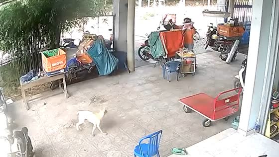 Motorcycle crash in Vĩnh Hòa, Vietnam