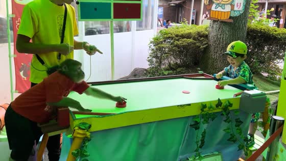 Clever monkey wins air hockey game against child in Nikko, Japan