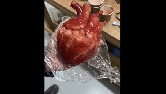 Hyper-realistic animatronic heart sculpture comes to life!